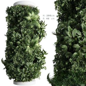 立柱植物 绿植墙